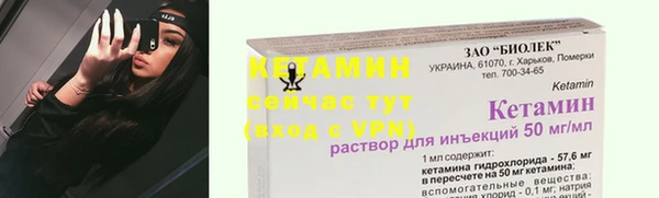 твердый Дмитров